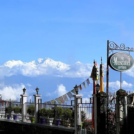 Muscatel Nirvana - At The Mall Road Darjeeling  Buitenkant foto